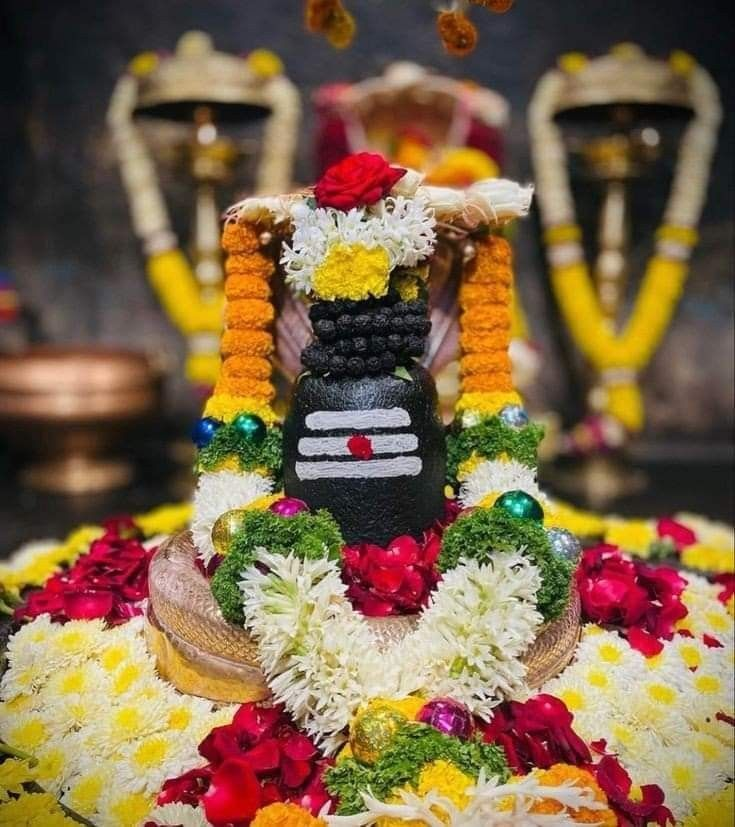 rin mukti puja
